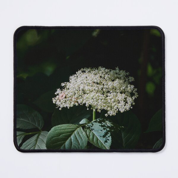Item preview, Shaded Elderflower designed and sold by Eidetic Photos.