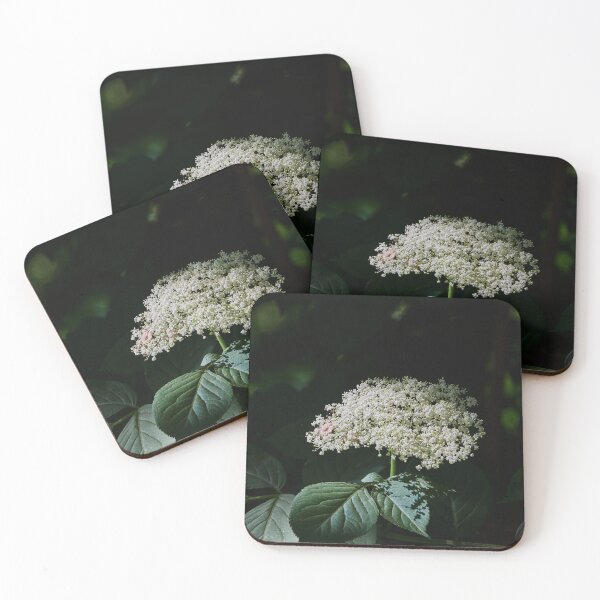 Item preview, Shaded Elderflower designed and sold by Eidetic Photos.