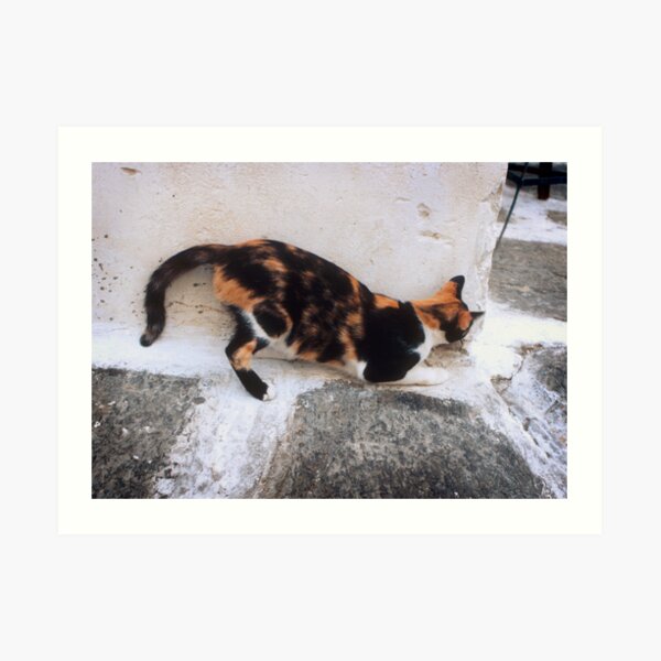 Playful Greek Calico Art Print
