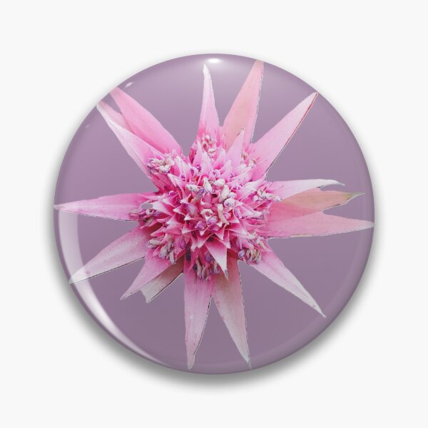 Item preview, Pink Bromeliad flower isolated on lilac background with clipping path, close-up. designed and sold by ollgast5.
