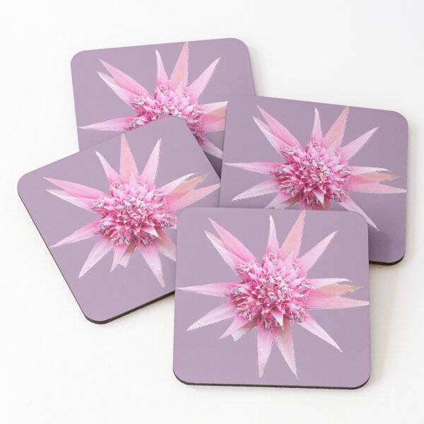 Item preview, Pink Bromeliad flower isolated on lilac background with clipping path, close-up. designed and sold by ollgast5.