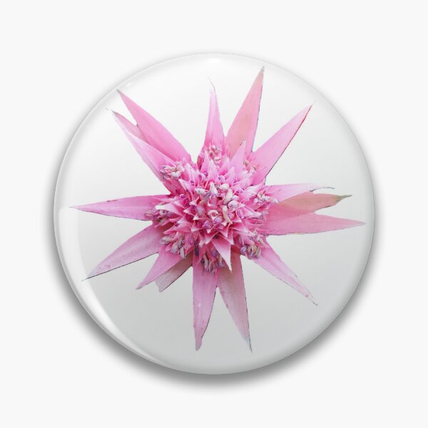 Item preview, Pink Bromeliad flower isolated on white background with clipping path, close-up. designed and sold by ollgast5.