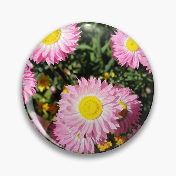 Item preview, Swan River Daisy designed and sold by ianr-10.
