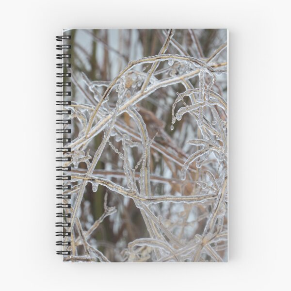 Item preview, Ice Storm Aftermath - Pale Frozen Grasses  designed and sold by Georgia Mizuleva.