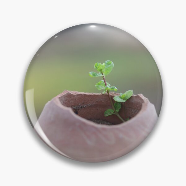 Item preview, Mint Plant in a Terracotta Pot designed and sold by joephotographr.