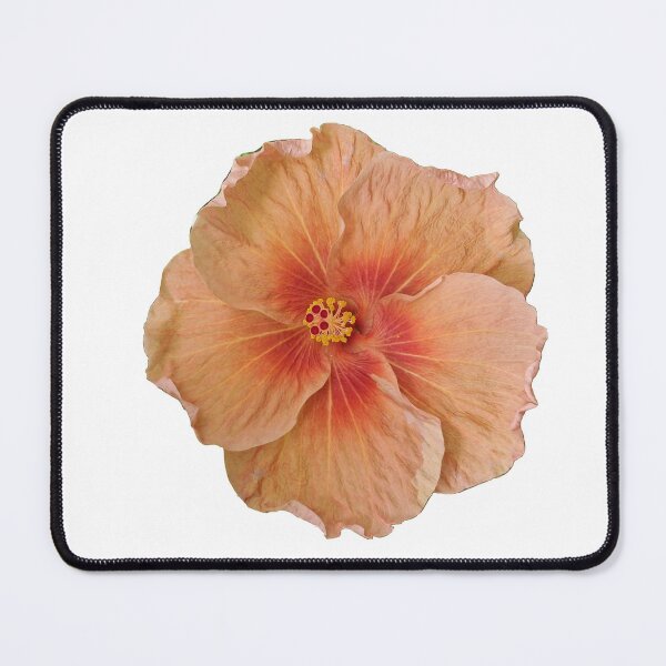 Item preview, Orange Hibiscus designed and sold by Anya129.