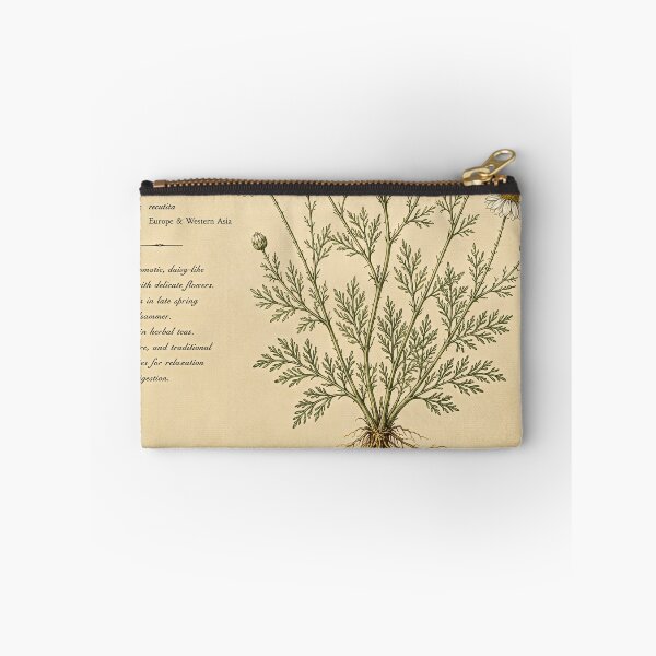 Item preview, Chamomile Herbarium Illustration designed and sold by Oraibi.