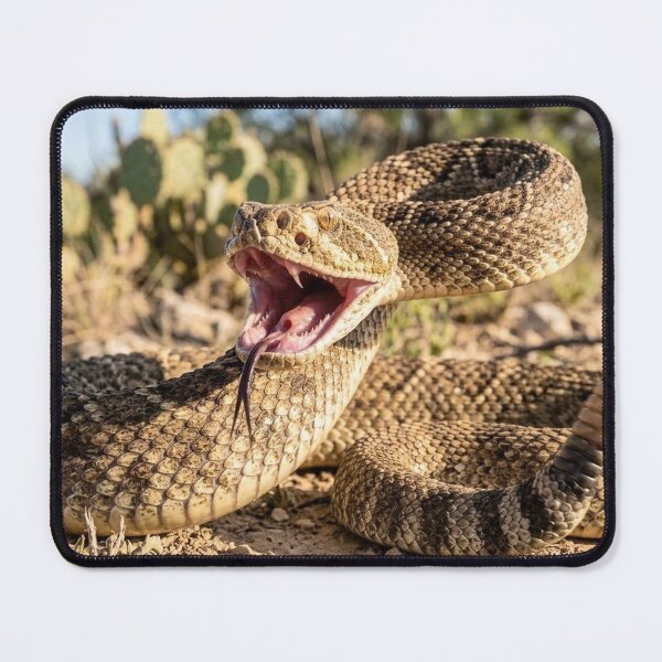 Item preview, Rattlesnake designed and sold by Stevercortinas.