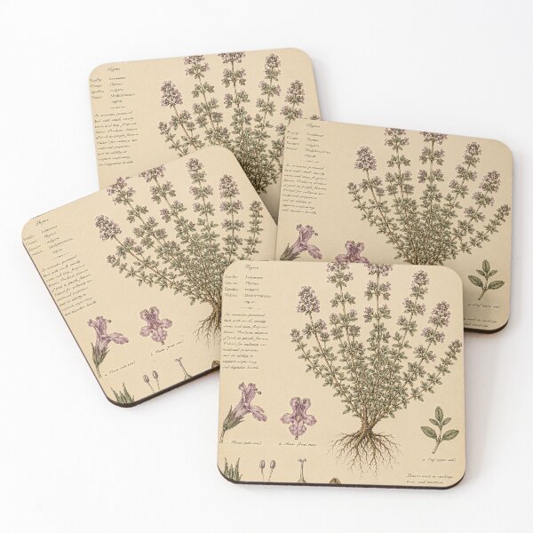 Item preview, Vintage Thyme Botanical Illustration – Antique Herb Print designed and sold by Oraibi.