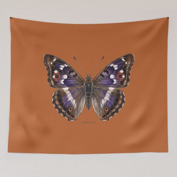Item preview, Apatura Ilia: The Phantom Purple Sheen designed and sold by FreiherrPK.