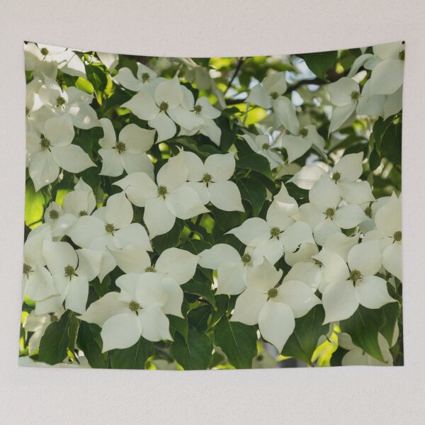 Item preview, Springtime Bounty - an Exuberant Dogwood Tree Overflowing with Flowers  designed and sold by Georgia Mizuleva.
