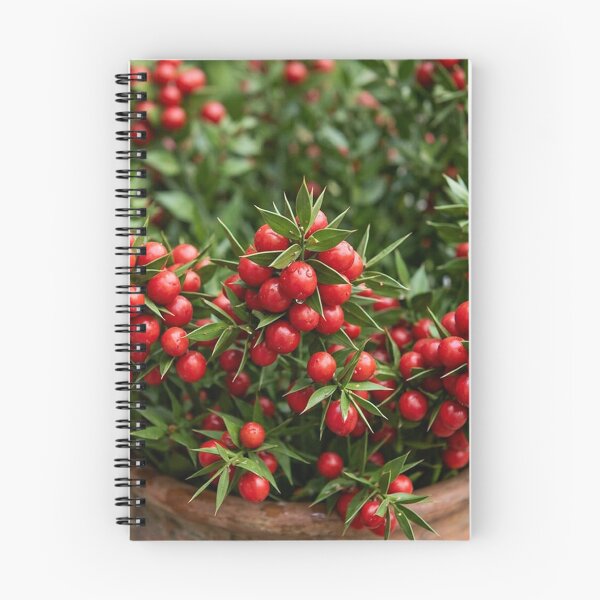 Item preview, Flowers – butcher's broom (kokina) designed and sold by snoWorkshop.