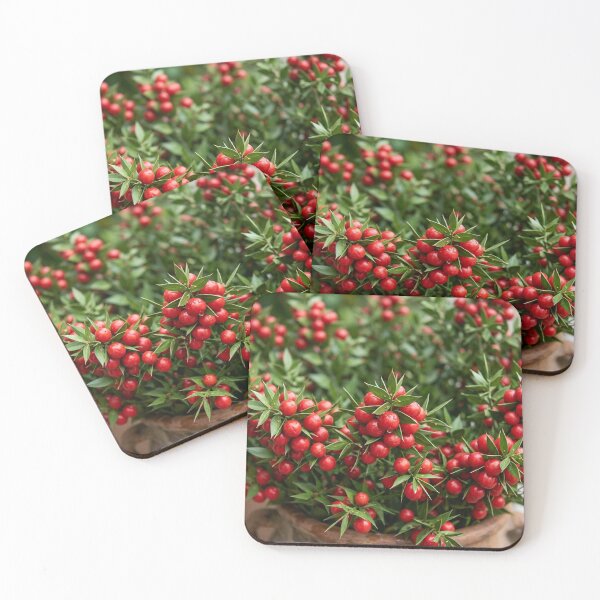 Item preview, Flowers – butcher's broom (kokina) designed and sold by snoWorkshop.