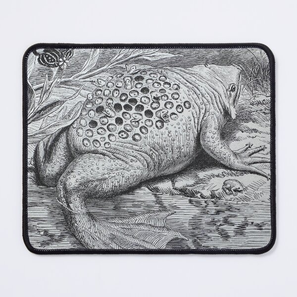 Item preview, Surinam Toad Print - 1893 designed and sold by Ian-M-Stevens.