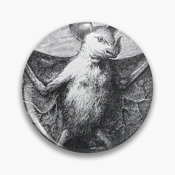 Artikelvorschau, Vampirfledermaus-Druck von 1893 entworfen und verkauft von Ian-M-Stevens.
