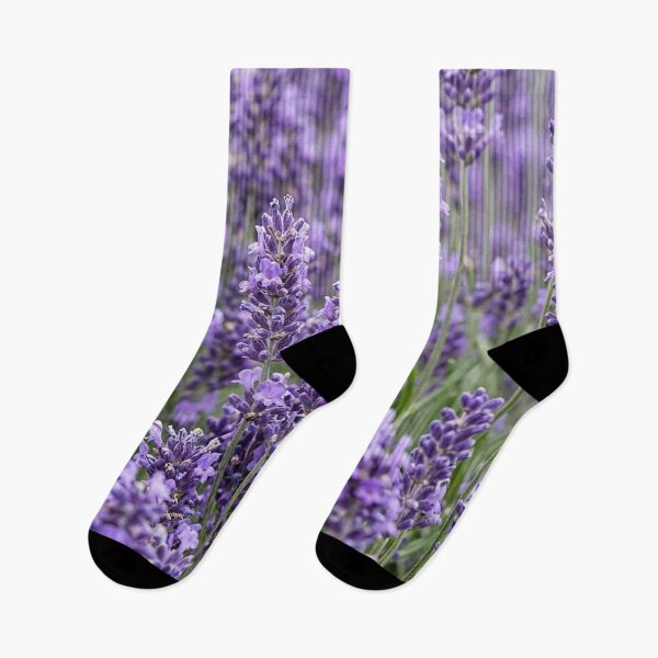 Item preview, Flowers – Lavender designed and sold by snoWorkshop.