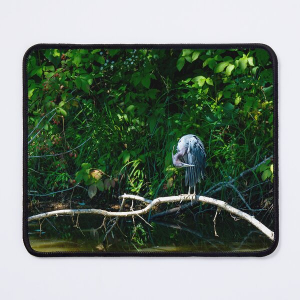 Item preview, Preening Herron designed and sold by TinyDinoDesigns.