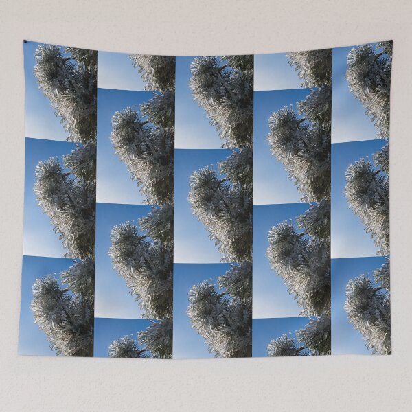 Item preview, Toronto Ice Storm Aftermath - Pine Needle Flowers in the Sky designed and sold by Georgia Mizuleva.