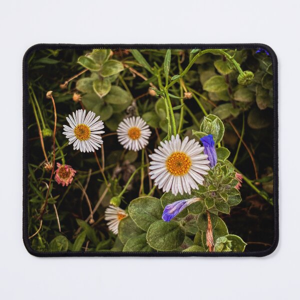 Item preview, Floral Photography  designed and sold by jena dellagrottaglia.