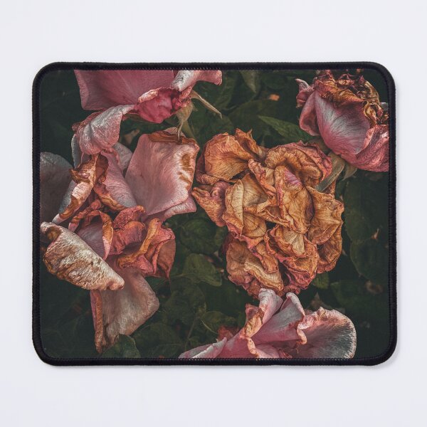 Item preview, Second hand Rose designed and sold by jena dellagrottaglia.