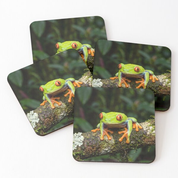 Item preview, Red Eyed Tree Frog Colourful Tropical Rainforest Wildlife Art designed and sold by roverte.