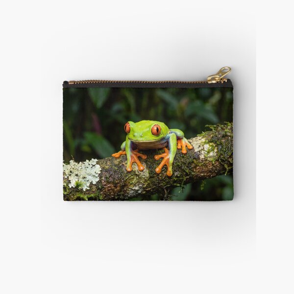 Item preview, Red Eyed Tree Frog Colourful Tropical Rainforest Wildlife Art designed and sold by roverte.