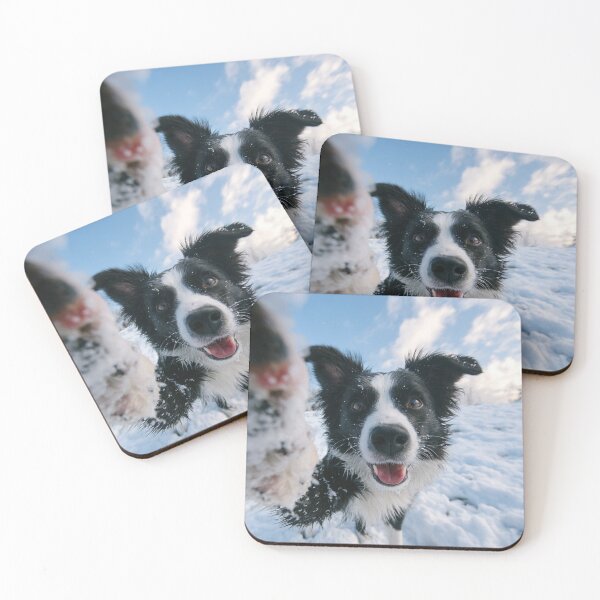 Item preview, Border Collie taking Selfie designed and sold by NicolasGlowArt.