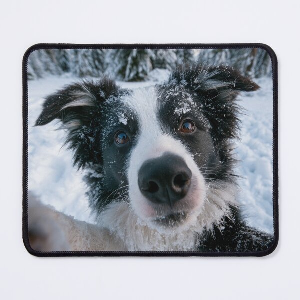 Item preview, Border Collie Selfie designed and sold by NicolasGlowArt.
