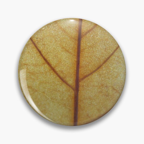 Item preview, Golden Autumn Leaf Macro – Intricate Veins and Natural Texture designed and sold by onubi.