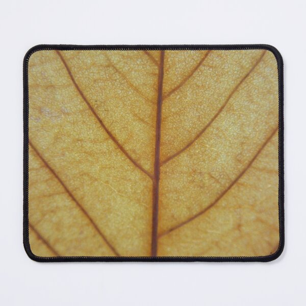 Item preview, Golden Autumn Leaf Macro – Intricate Veins and Natural Texture designed and sold by onubi.