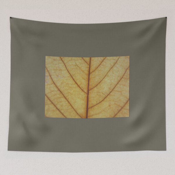 Item preview, Golden Autumn Leaf Macro – Intricate Veins and Natural Texture designed and sold by onubi.