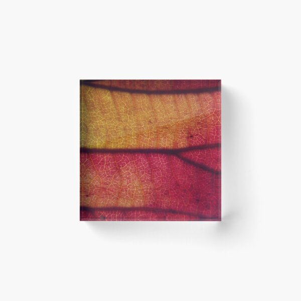 Item preview, Fiery Autumn Leaf Macro – Red and Golden Veins Texture designed and sold by onubi.