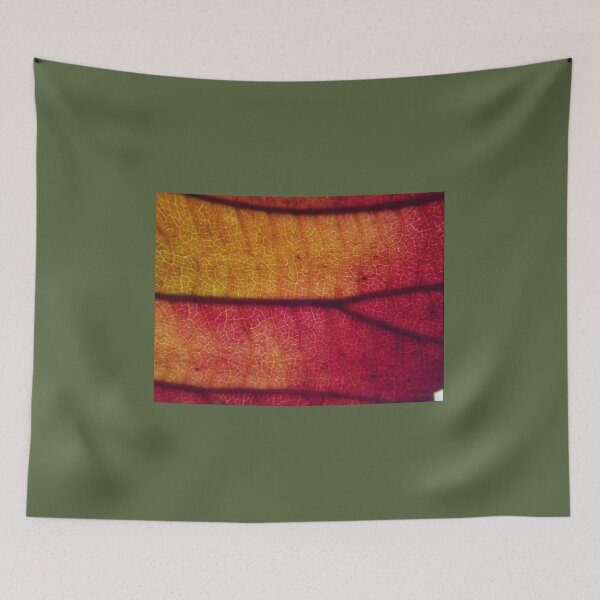 Item preview, Fiery Autumn Leaf Macro – Red and Golden Veins Texture designed and sold by onubi.