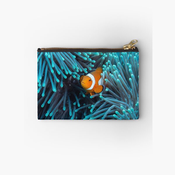 Item preview, Clownfish in Blue Sea Anemone  designed and sold by roverte.