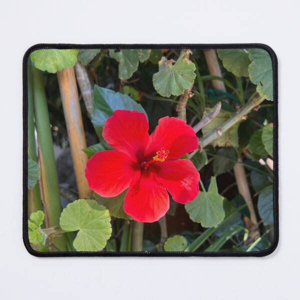 Item preview, A single flower growing amongst a wall of leaves designed and sold by FindMebyTalia.