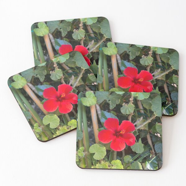 Item preview, A single flower growing amongst a wall of leaves  designed and sold by FindMebyTalia.