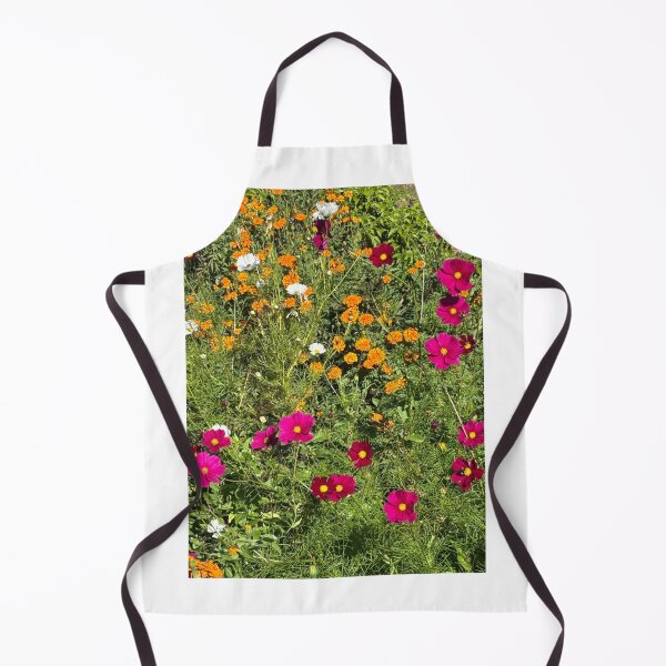 Item preview, ABQ NM Cosmos & Mums Variety designed and sold by Donlan-2211.