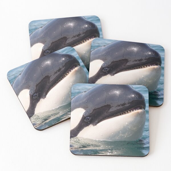 Item preview, Baby Orca Killer Whale Cute Ocean Wildlife Photography designed and sold by roverte.