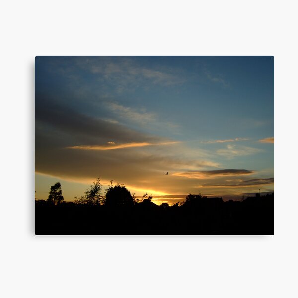 Summer Sunset in a London Suburb (1) Canvas Print