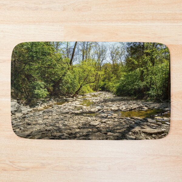 Item preview, A Rocky Path Ahead designed and sold by TinyDinoDesigns.
