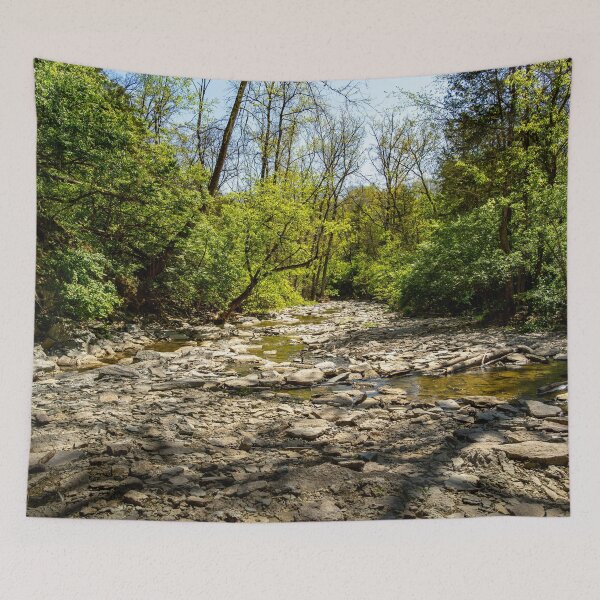 Item preview, A Rocky Path Ahead designed and sold by TinyDinoDesigns.