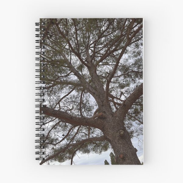 Item preview, A large tree top  designed and sold by FindMebyTalia.