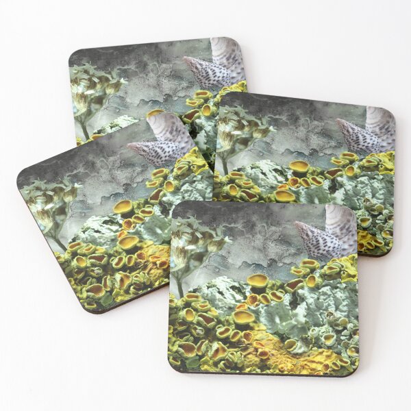 Item preview, Stormy Weather, photo collage, zipper pouch designed and sold by VoilaNoir.