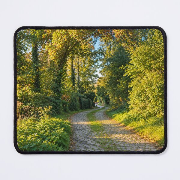 Item preview, Charming cobblestone path under a canopy of green trees designed and sold by CielitoArt.