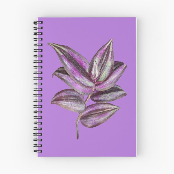 Item preview, Purple Tradescantia Zebrina Botanical Leaf Illustration designed and sold by MatiolaScentArt.