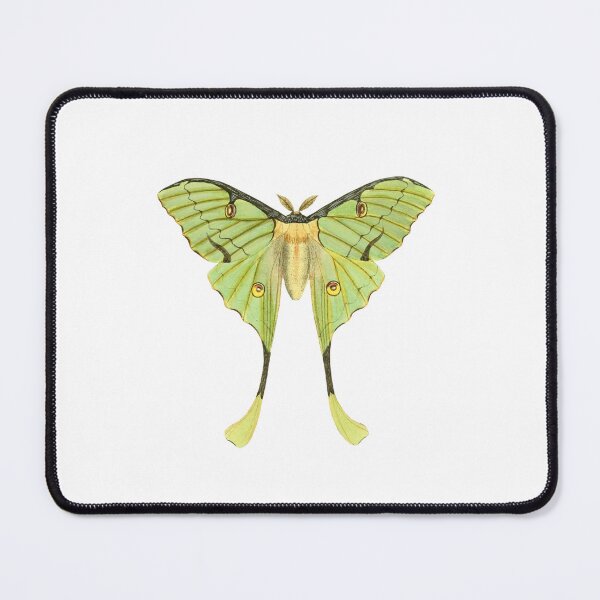 Item preview, Vintage Luna Moth Watercolor - Green Actias Luna Butterfly Art designed and sold by DanisPixieArt.