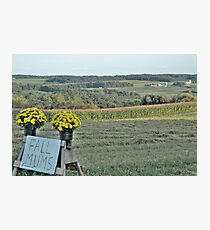 Mums For Sale Photographic Print