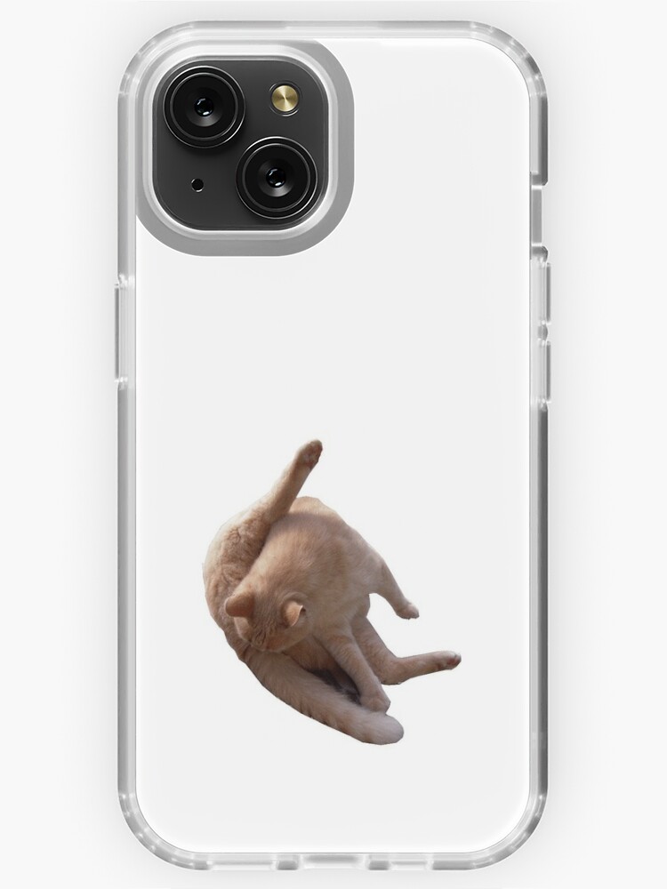 cat licking balls iPhone Case