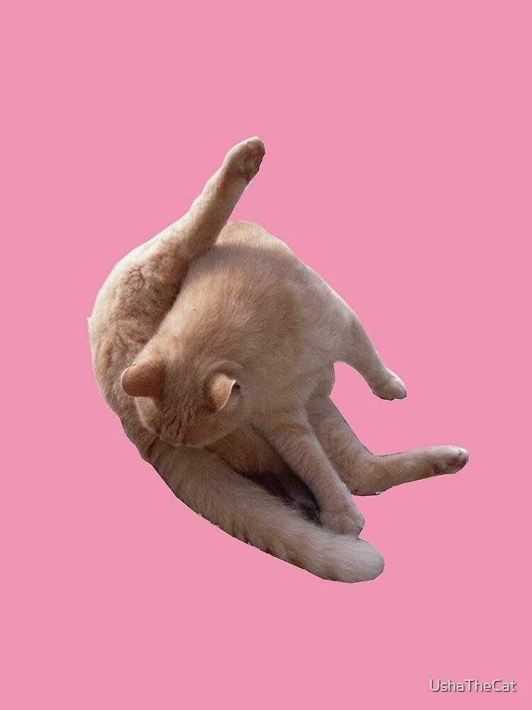 "cat licking balls" Tshirt by UshaTheCat Redbubble