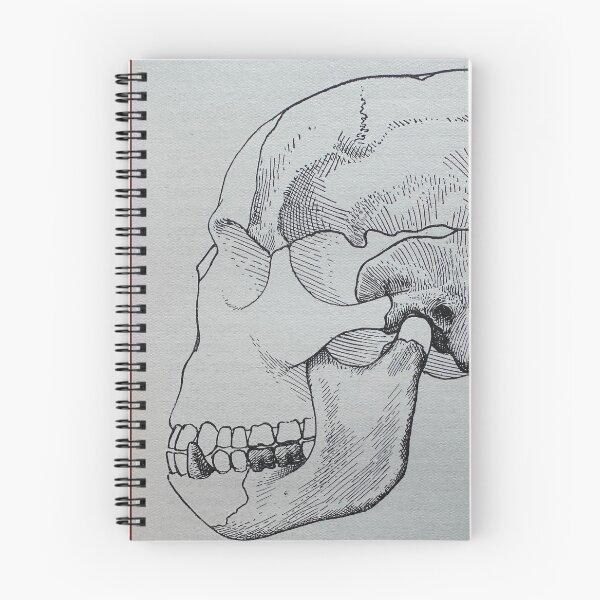 Item preview, Early Human Skull designed and sold by Ian-M-Stevens.
